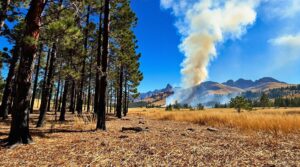 wildfire prone geographic locations