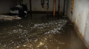 basement drain overflow issues