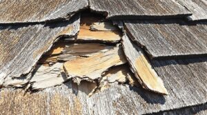 hail damaged wooden roofing