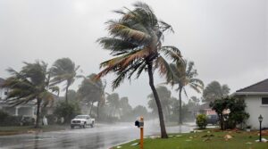 hurricane preparation and safety