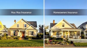 insurance coverage comparison types