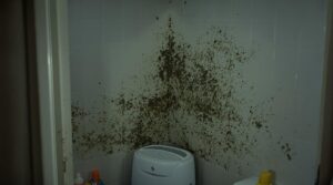 mold coverage for renters