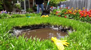 sewage leak yard solutions