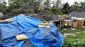 storm damage recovery strategies